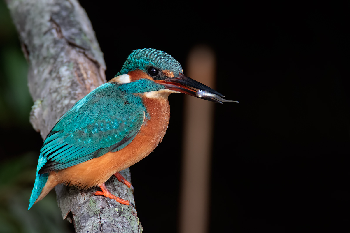 unfortunately static ...