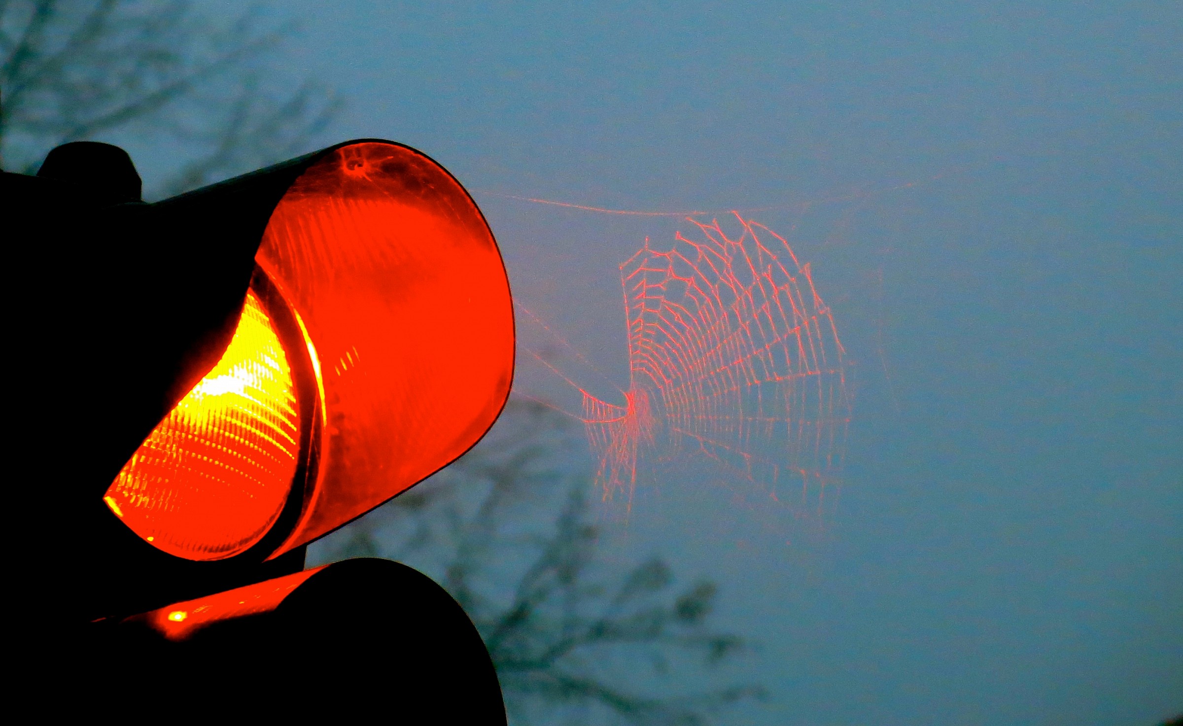 dal nulla, una ragnatela