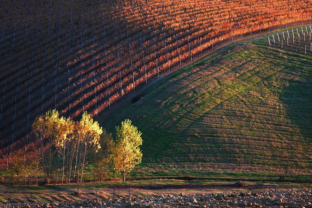 Autunno in Valdarno ...