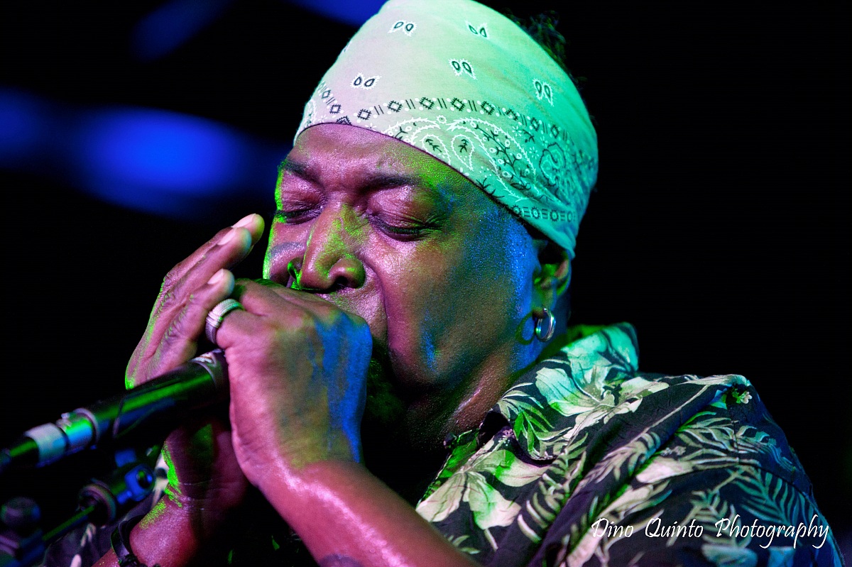 Nathaniel Peterson Live