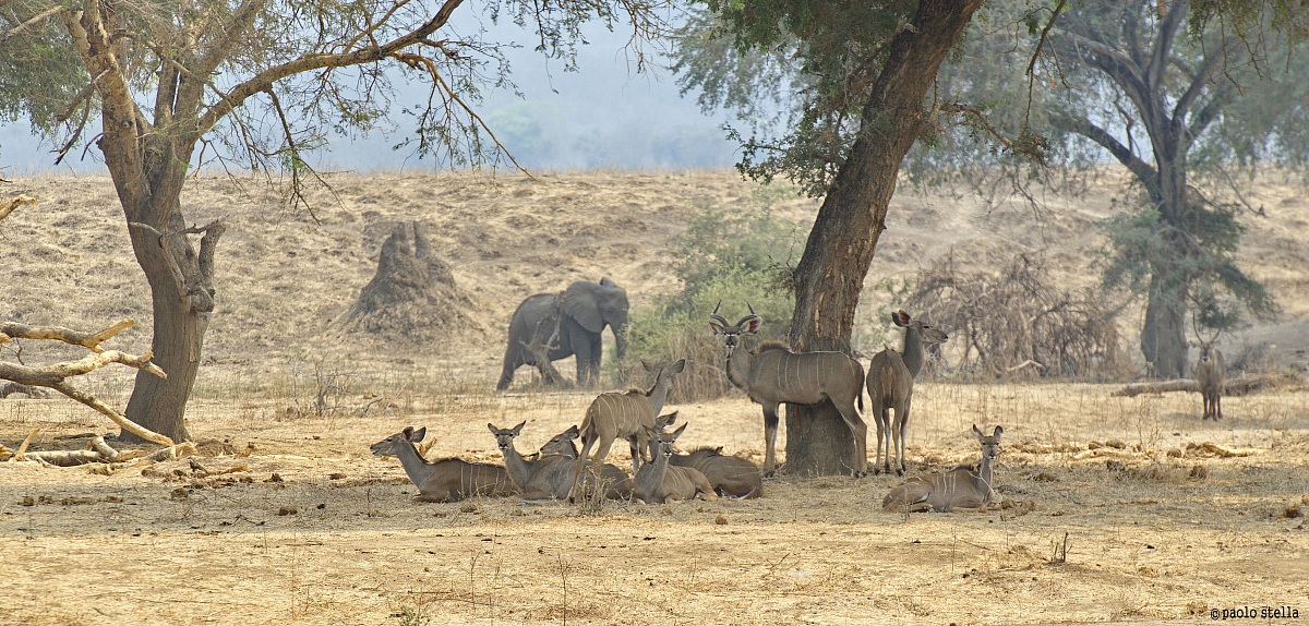 in the hot afternoon