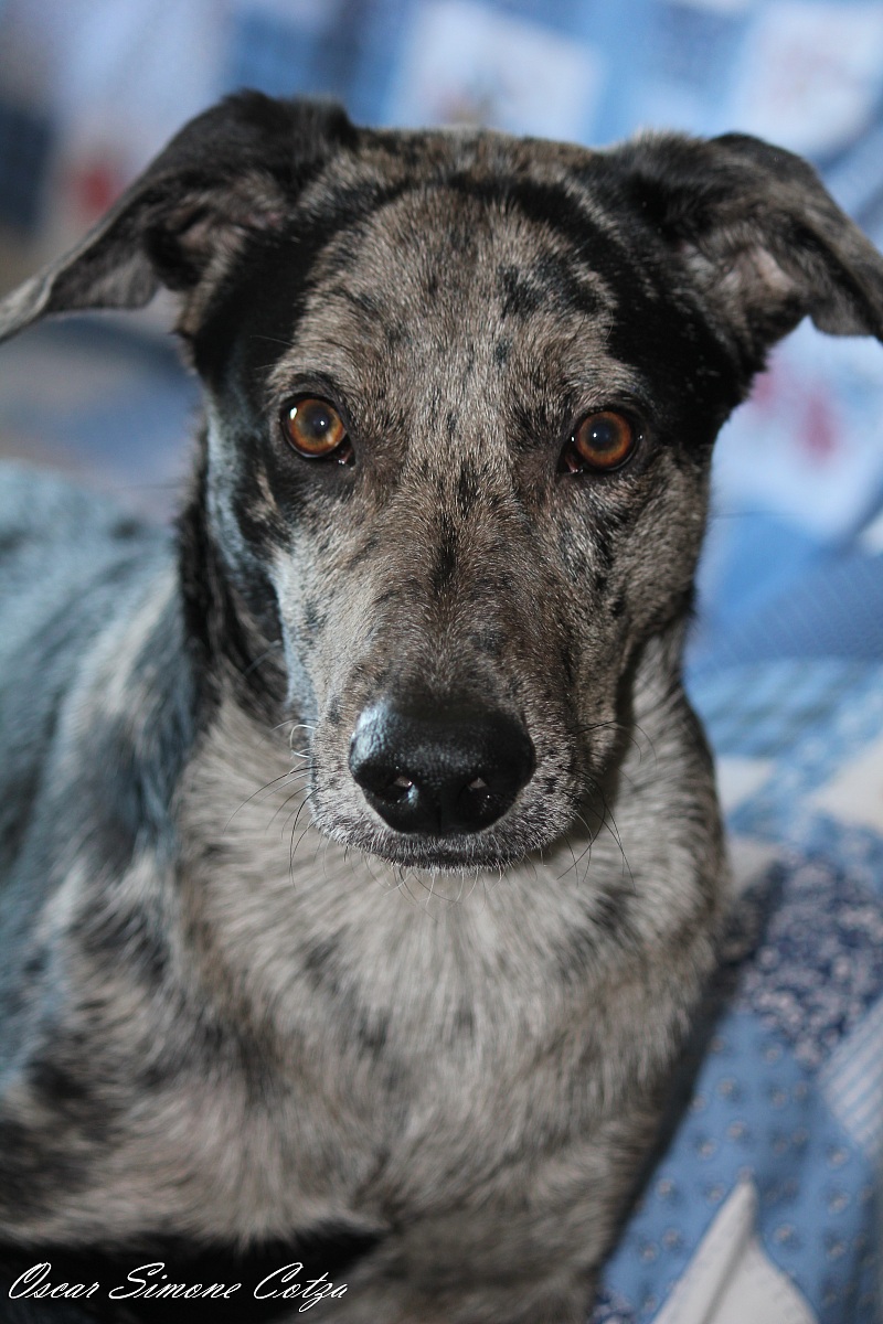 The intensity of a look