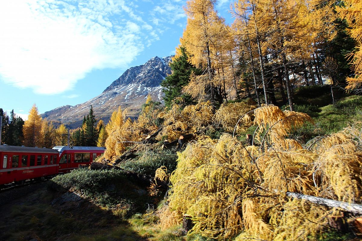 Train Bernina
