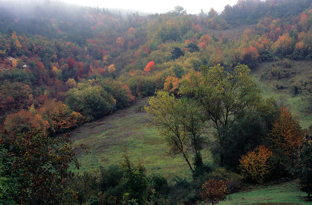 Autunno in Val Baganza (pr)