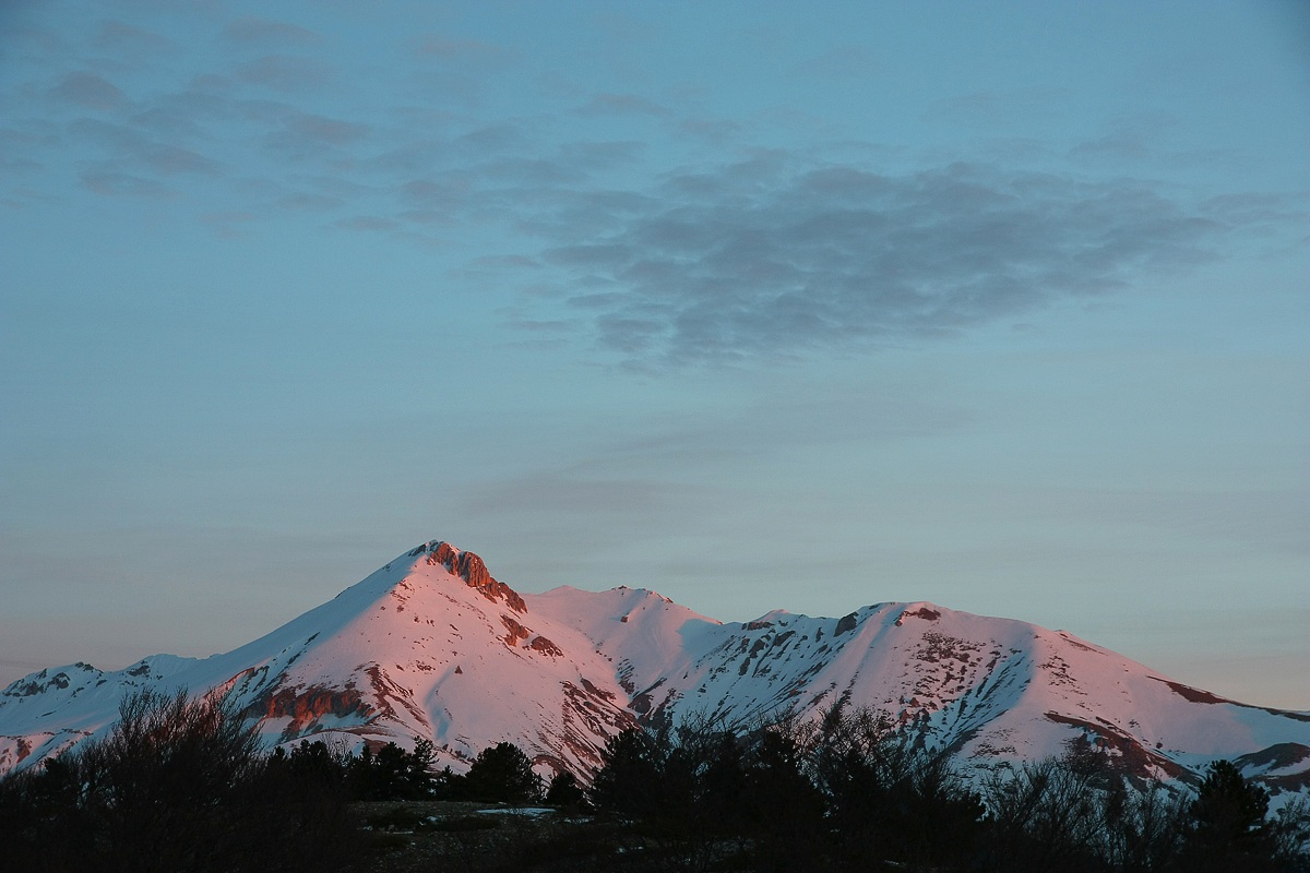 M. Camicia al risveglio