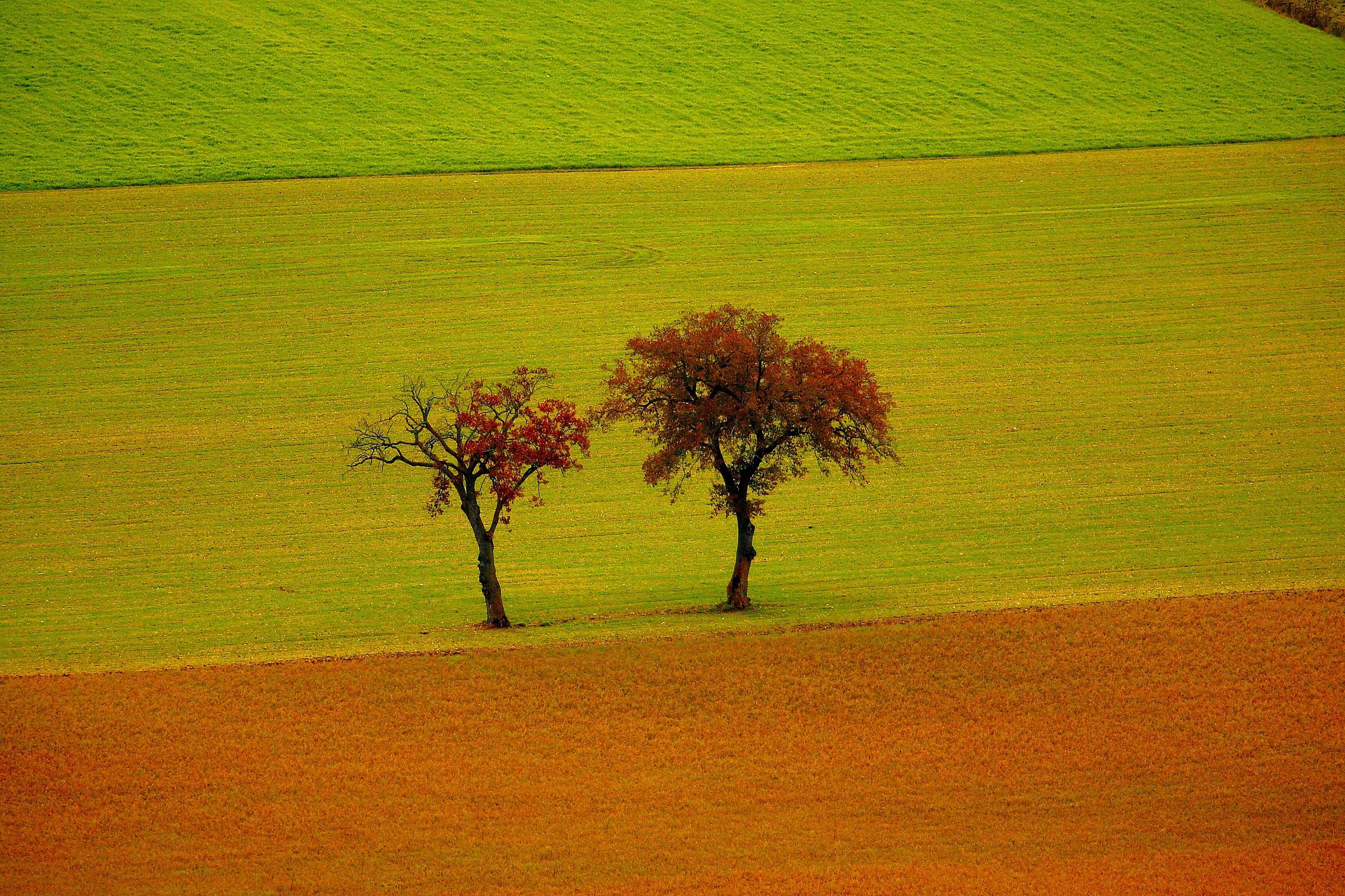 I guardiani del confine