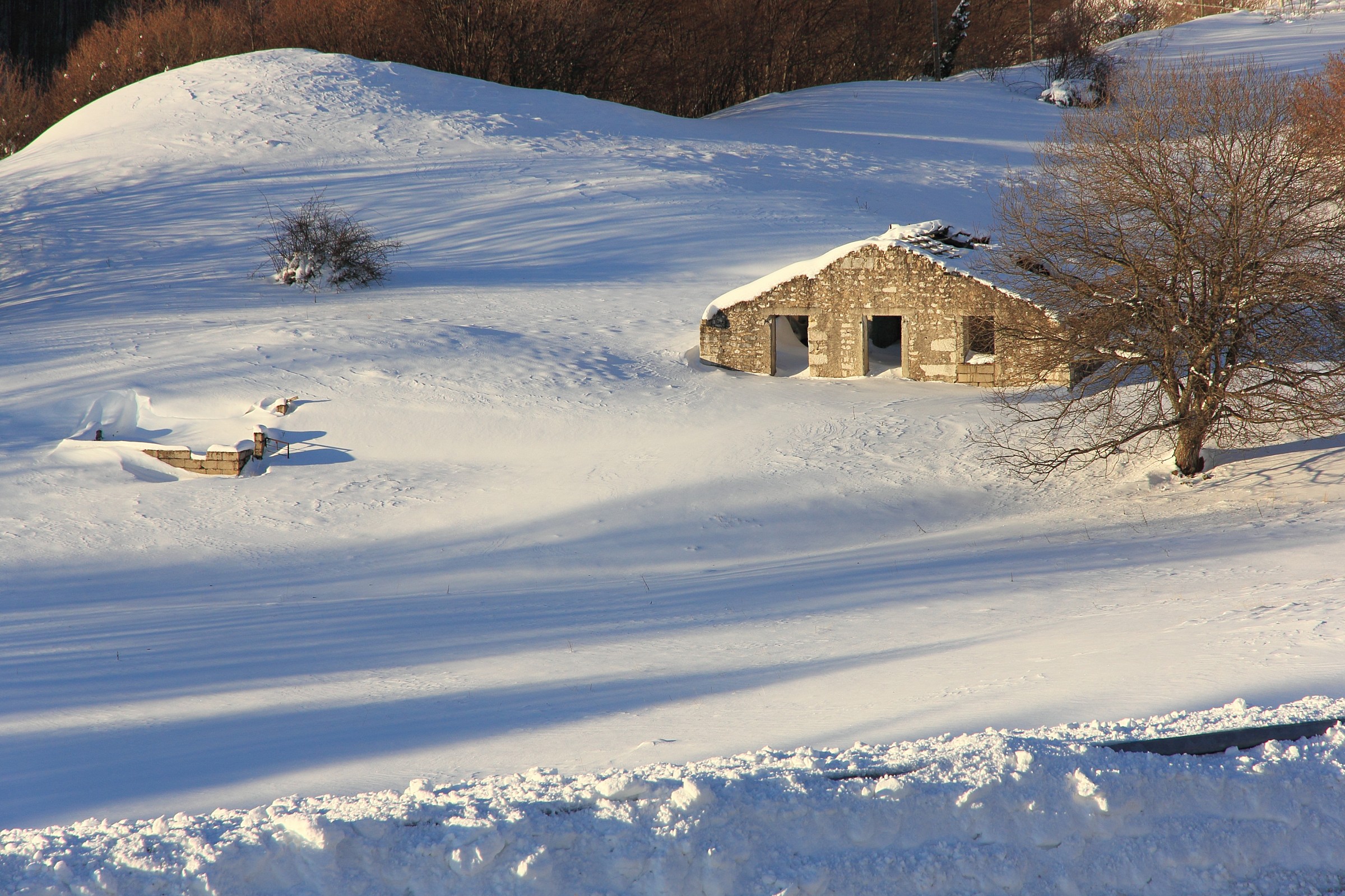 Vecchia malga abbandonata