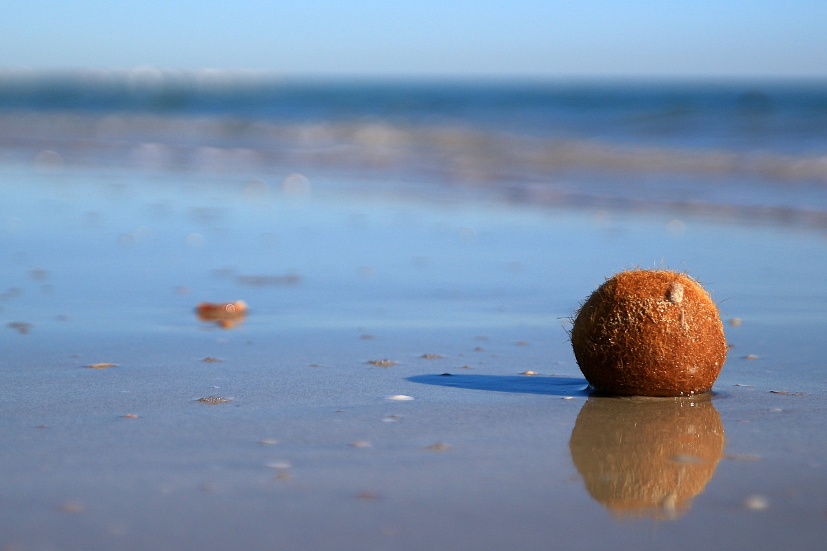 when everything is falling apart ...