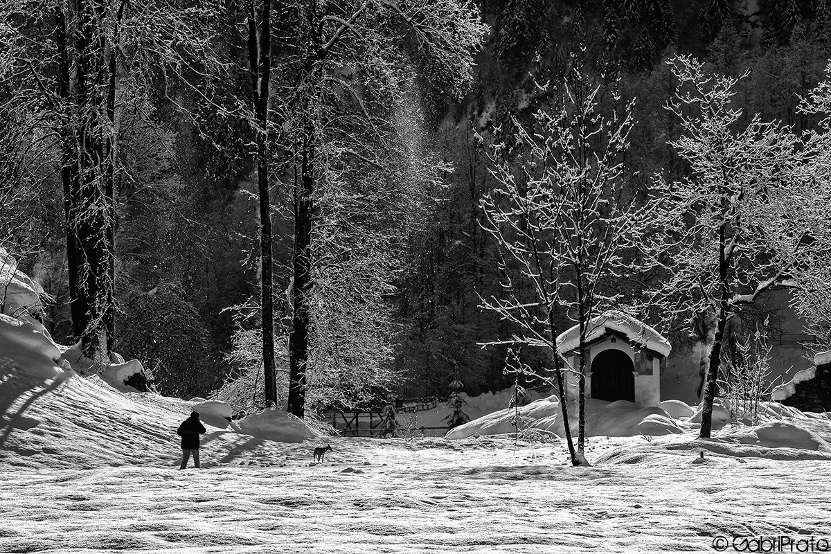 Il giorno dopo la nevicata