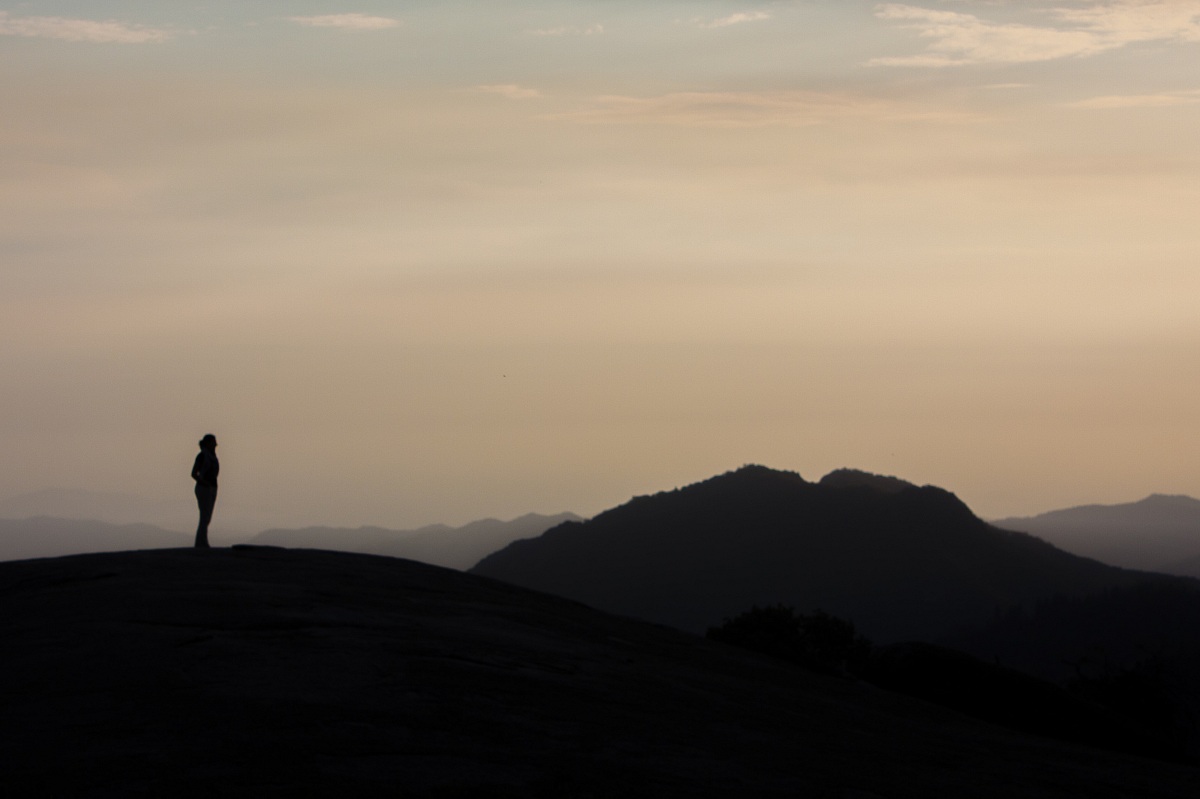 Sunset at Sequoia Park