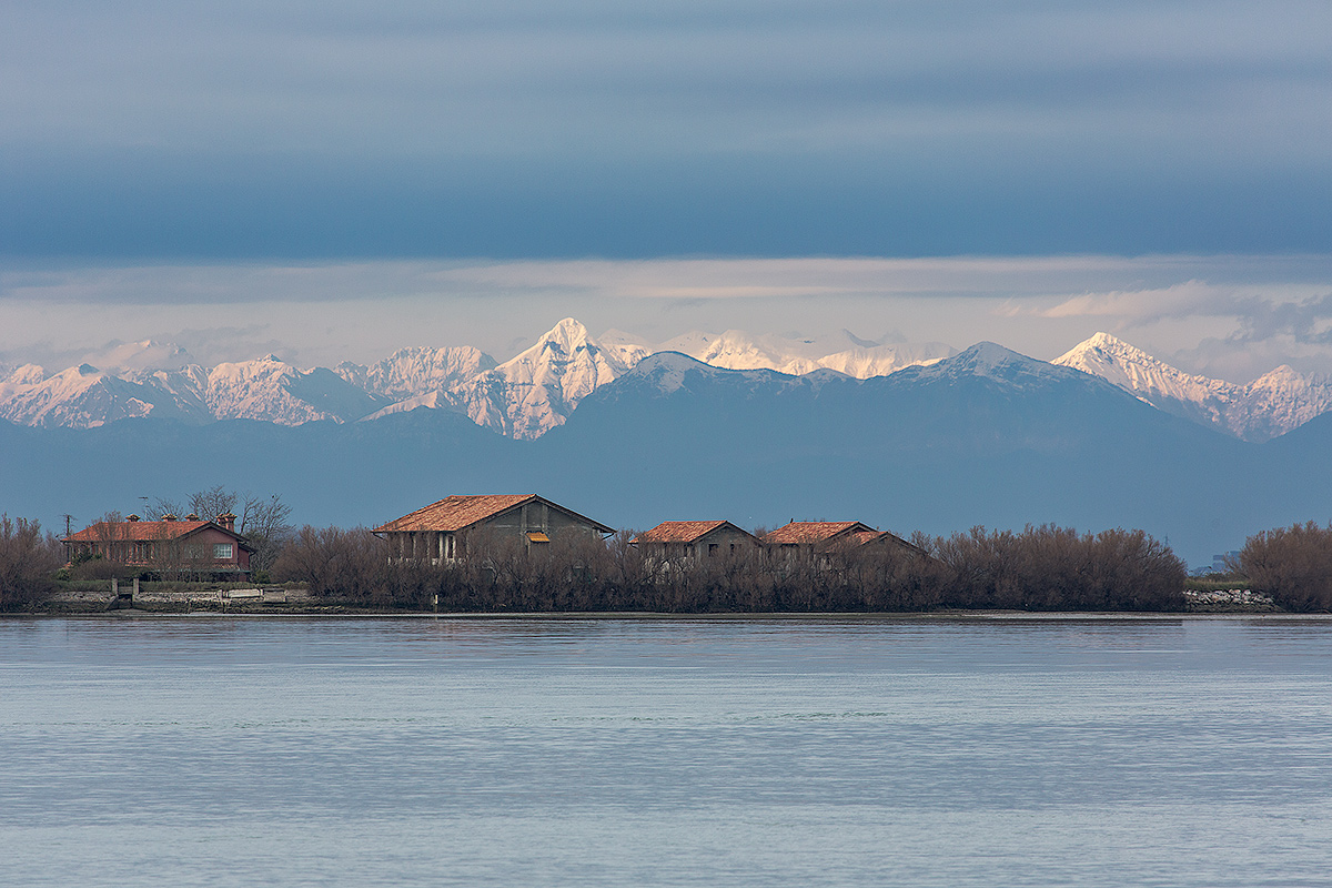 the Alps from the lagoon of Grado