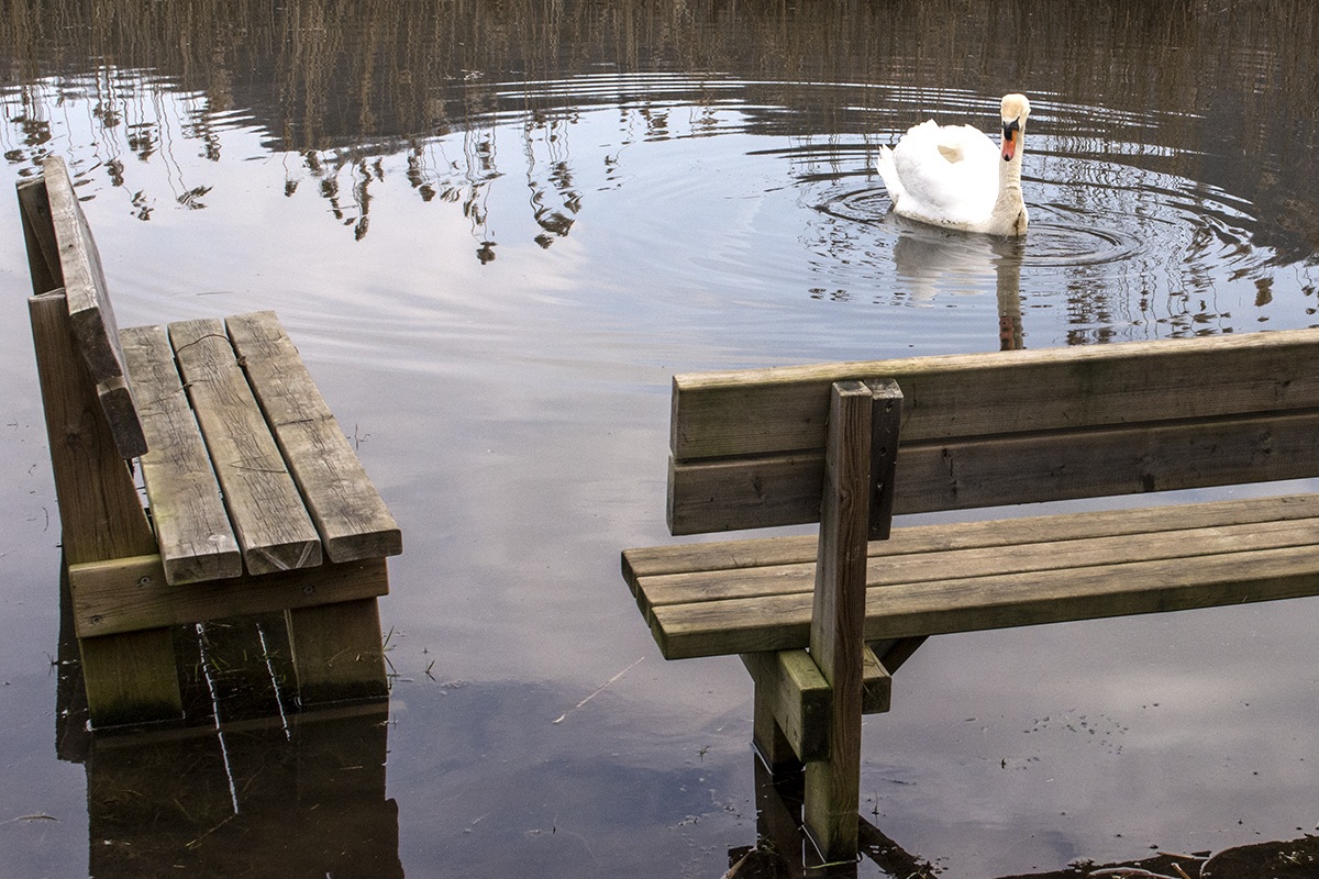 doubt ..................... where I sit