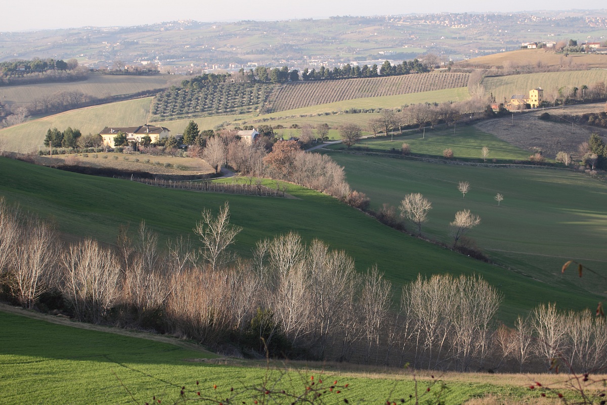 Countryside surrounding Santa Maria Nuova (n)