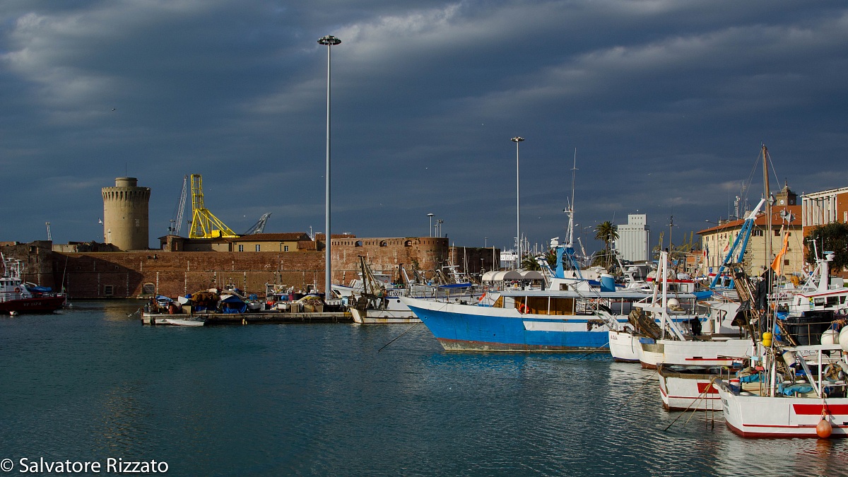 Port of Livorno