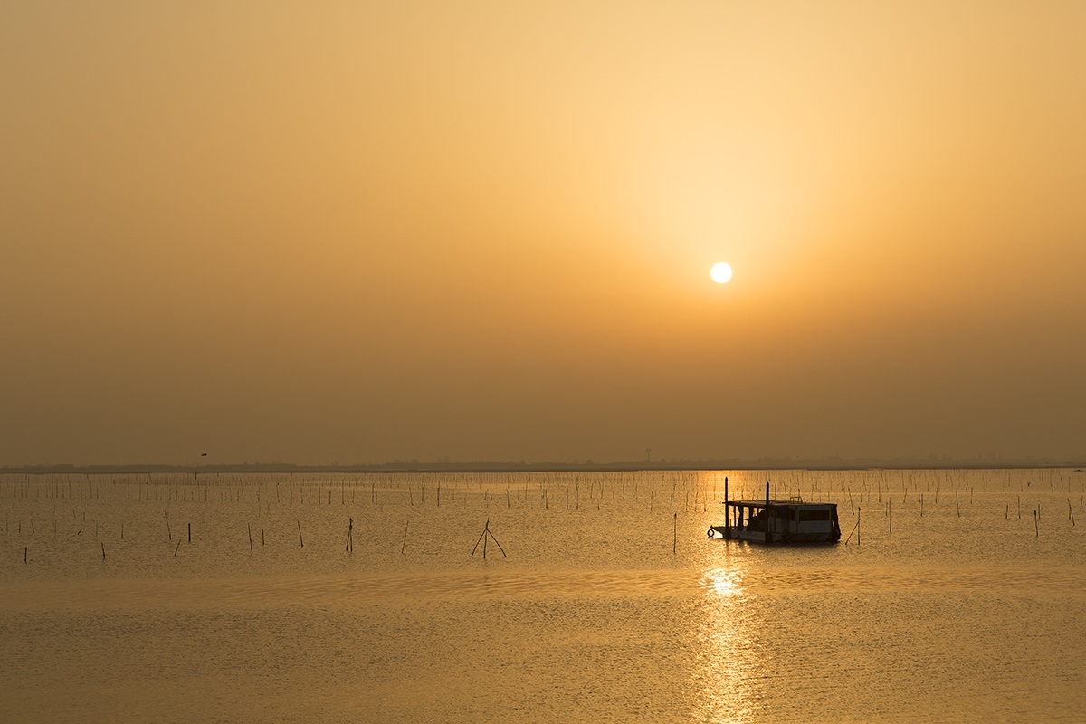 Lagoon of Chioggia