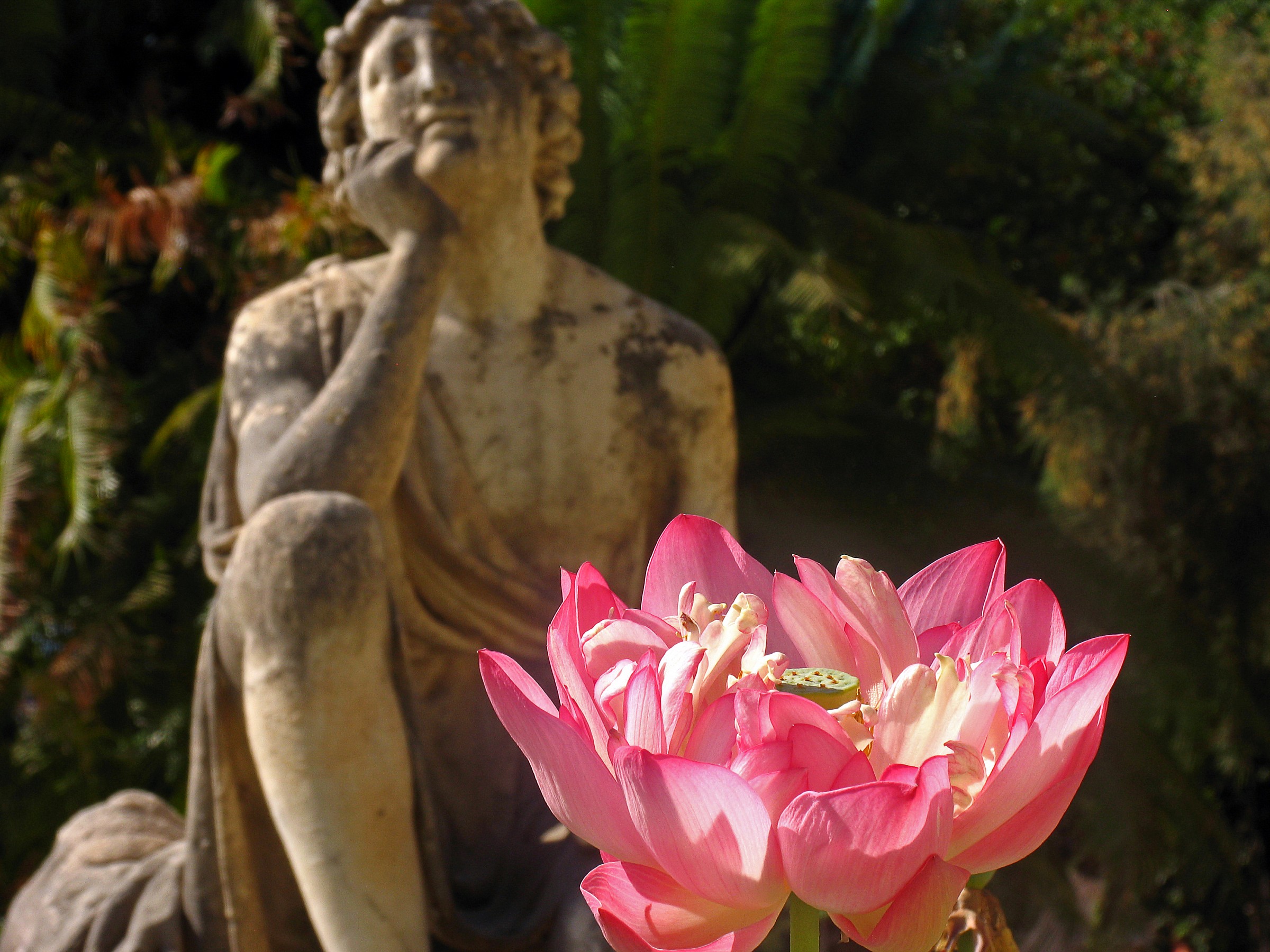 ...uff..ogni anno lo stesso