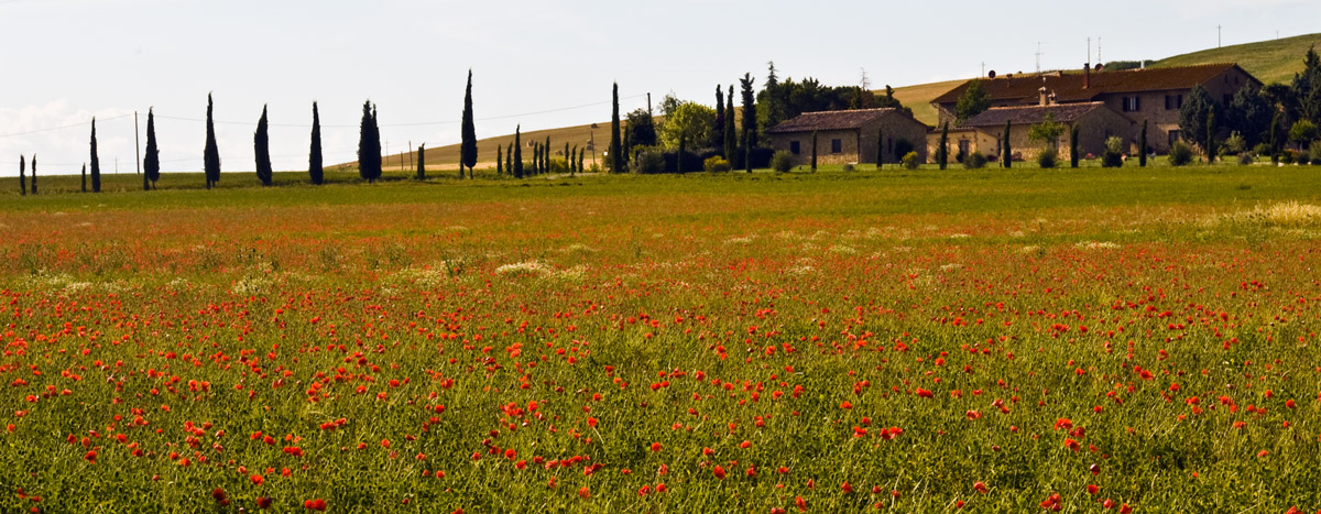 Val d'Orcia