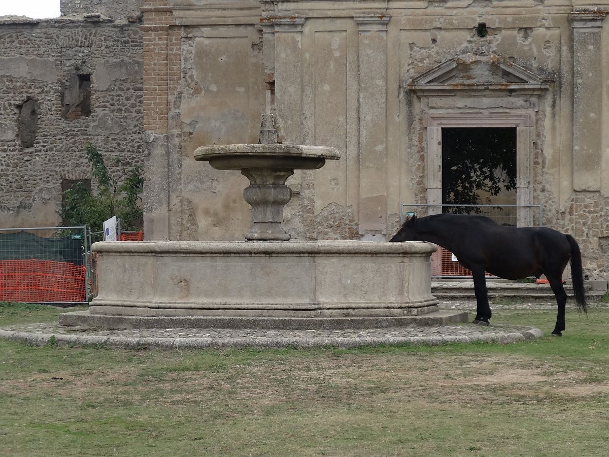 Next fountain and horse