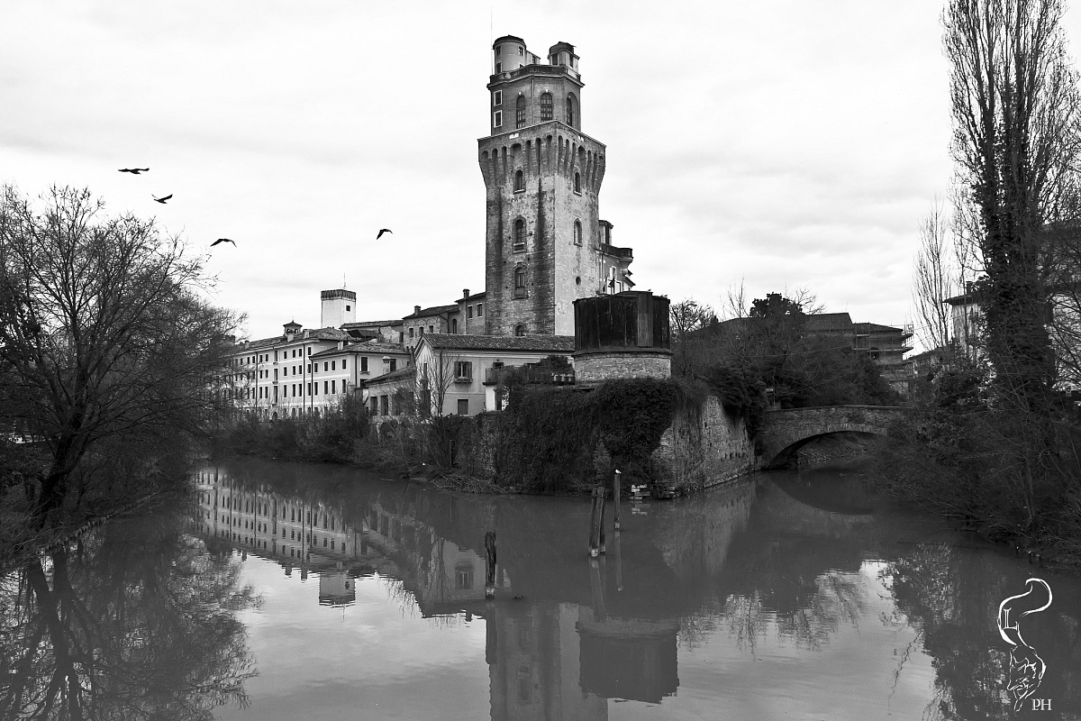 Padova Observatory