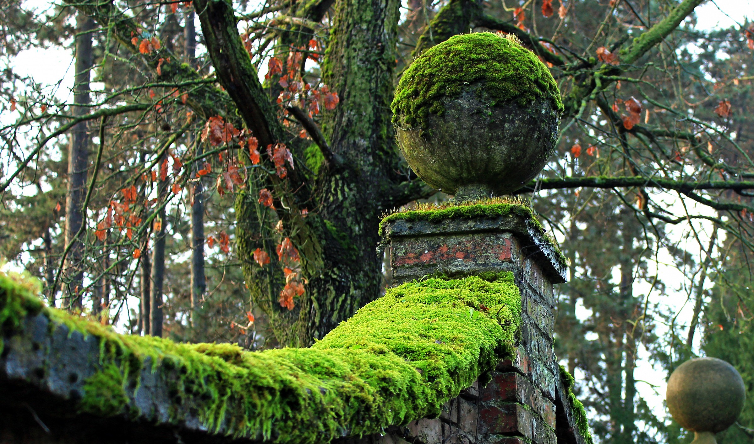 l'epoca nascosta dietro al muro