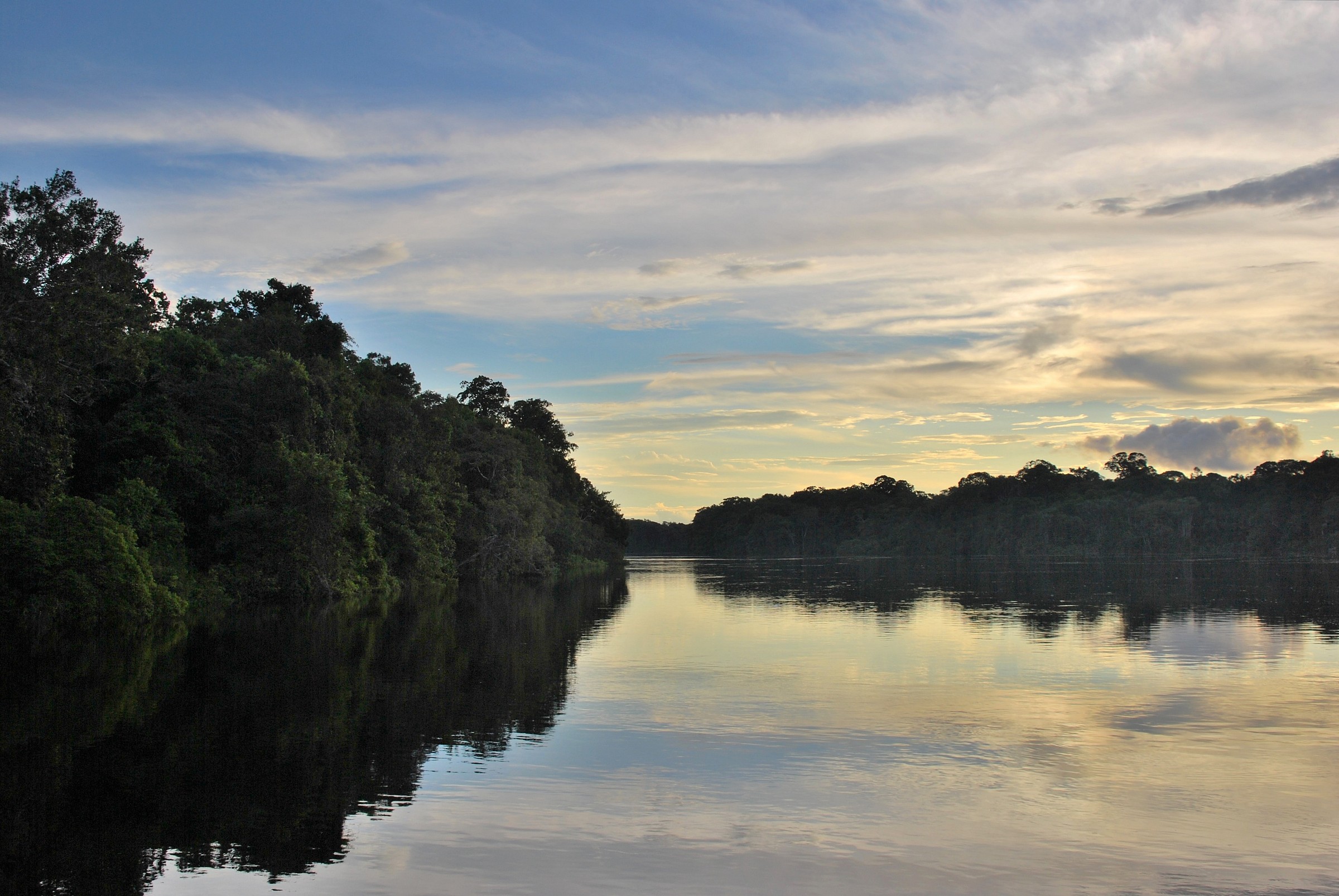 Amazon - Rio Negro