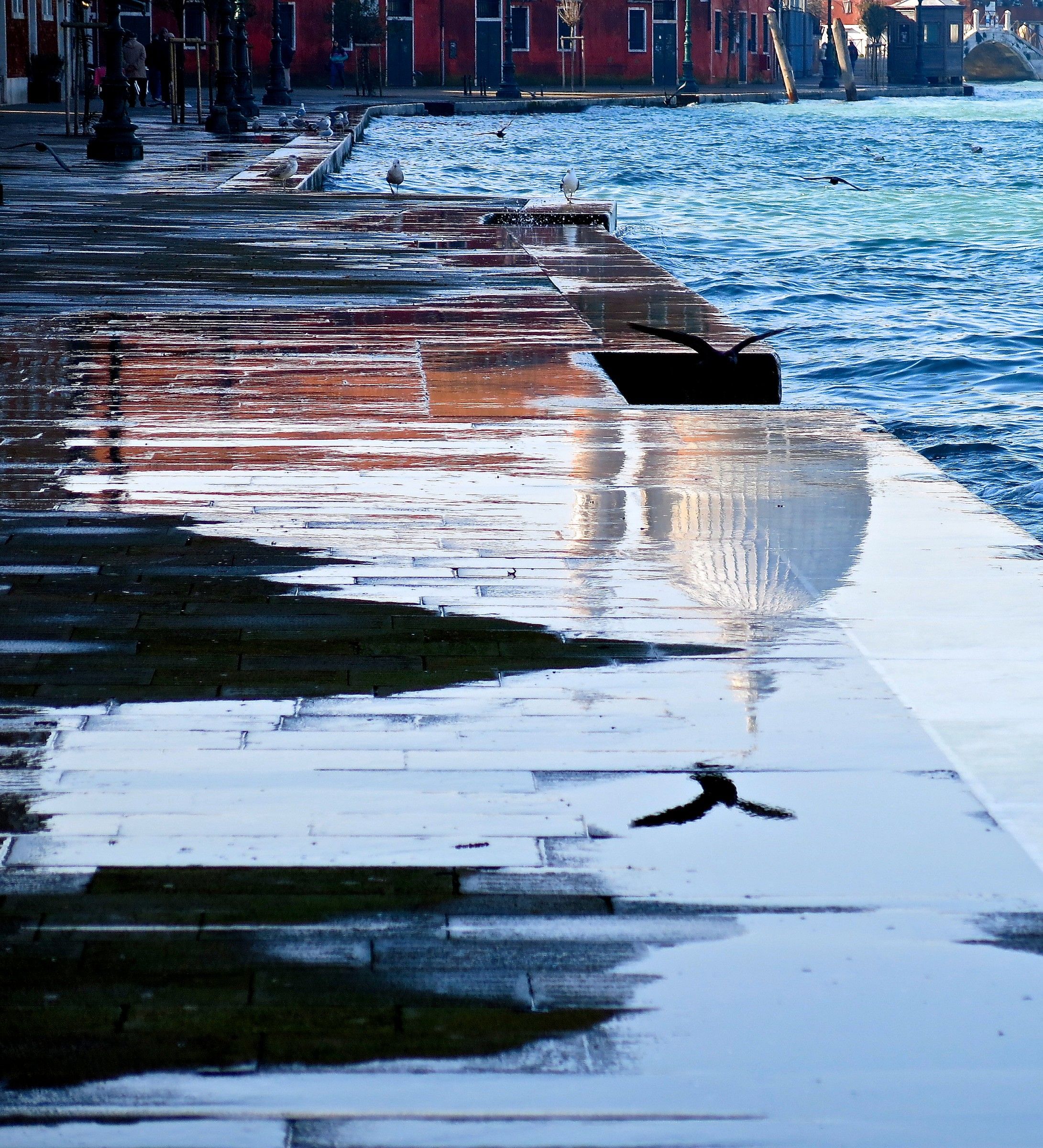 Giudecca