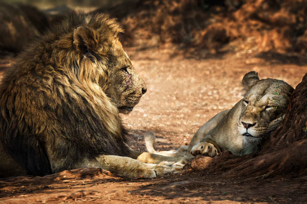 Old Man resting on your