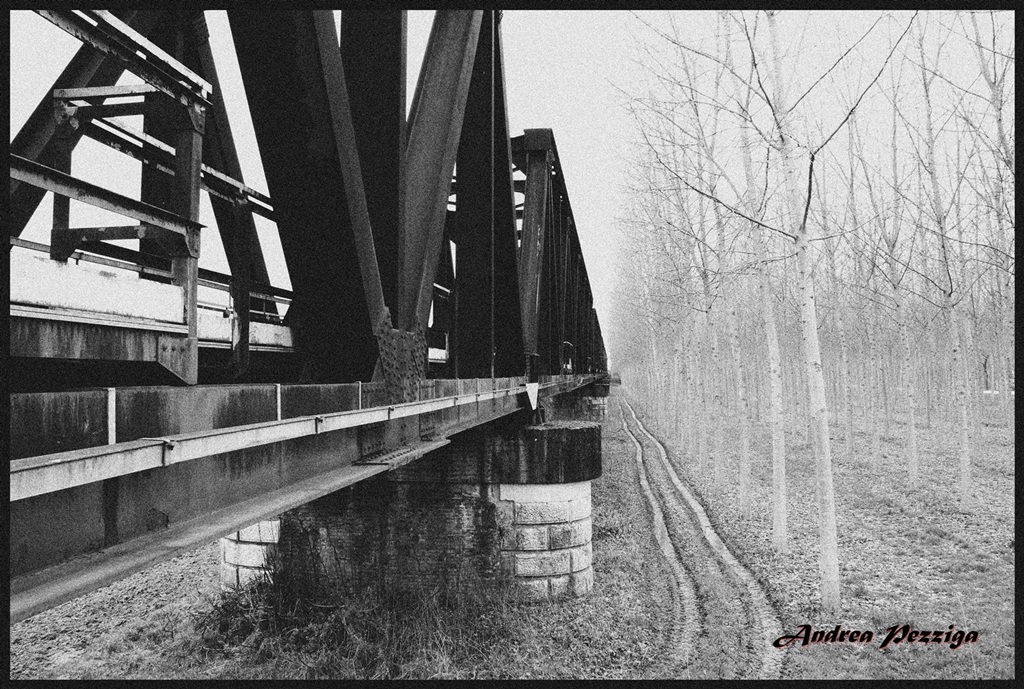 Flood Plain in Casalmaggiore