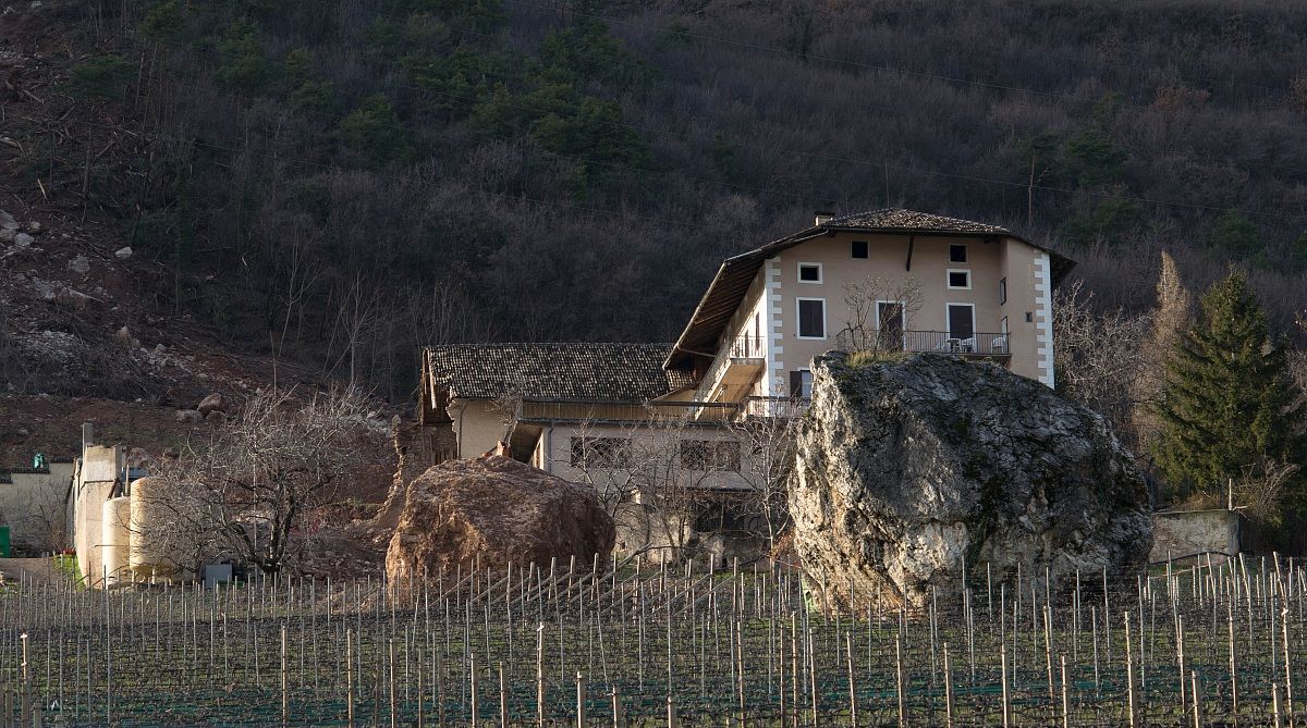 The unpredictability of nature 1