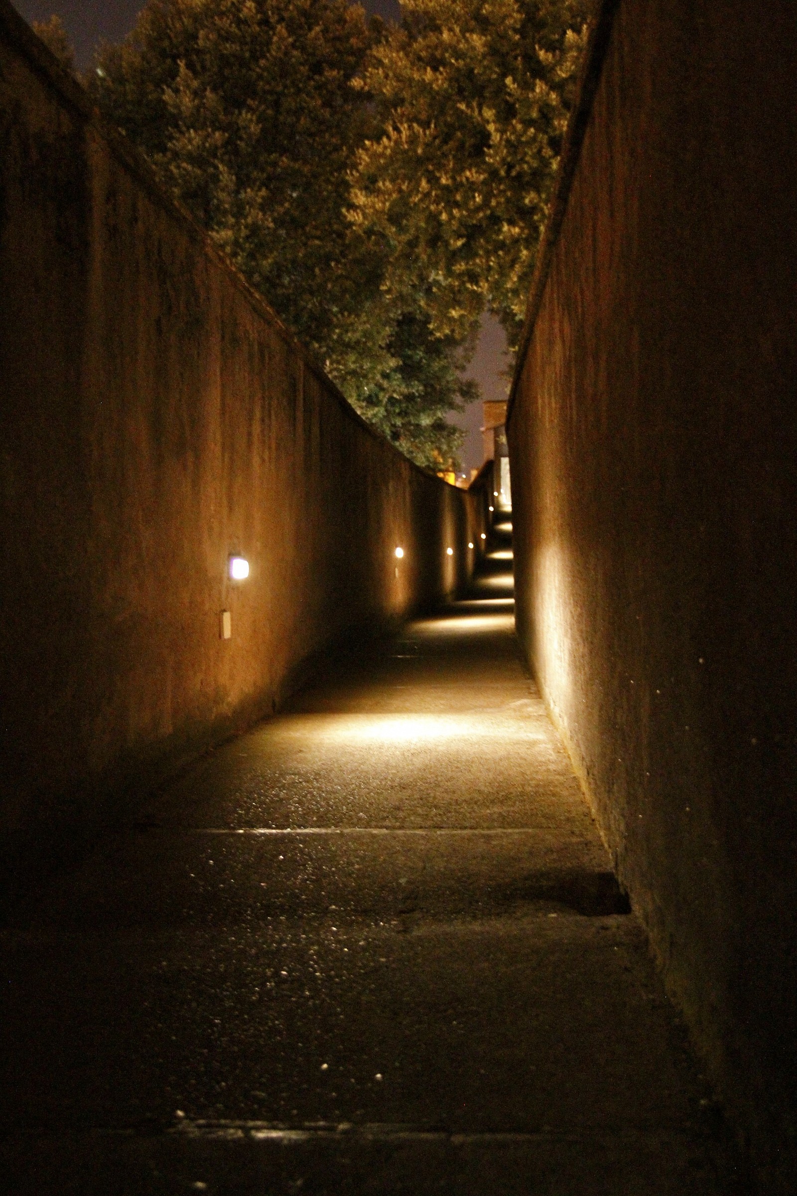 Il passetto di borgo