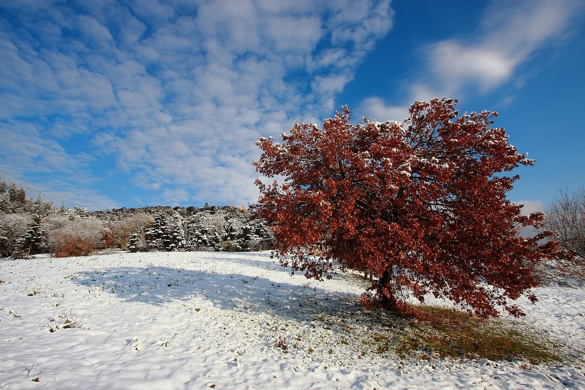 La neve si scioglie ...