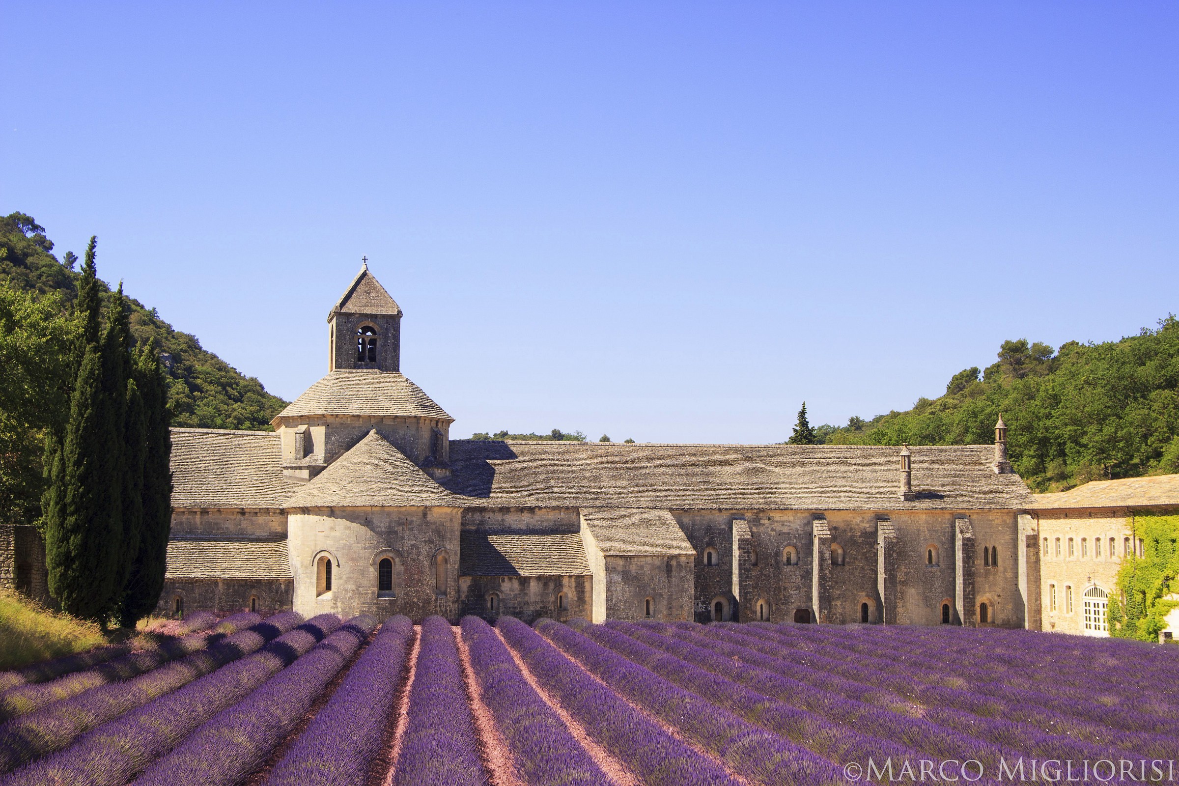 Una cartolina da Senanque.