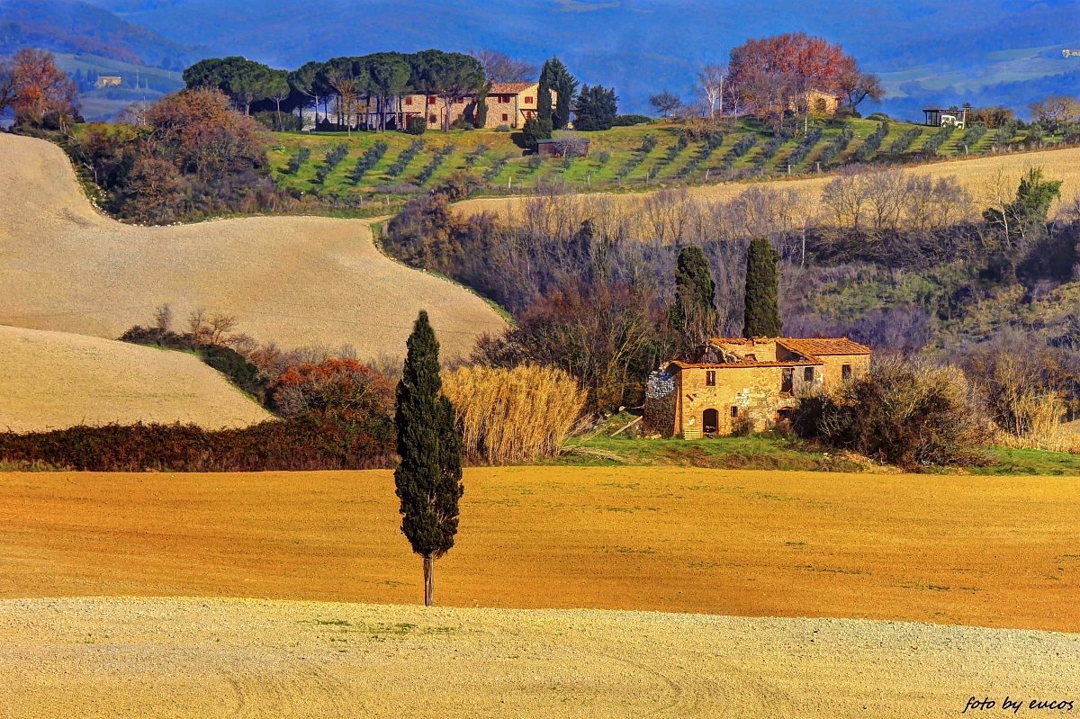 La campagna toscana 17