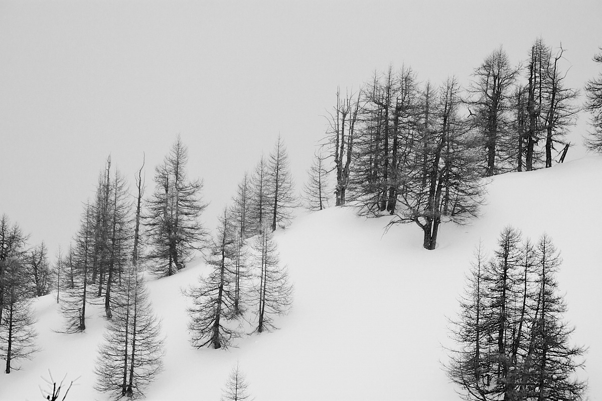 valle maira sopra tolosano BIS