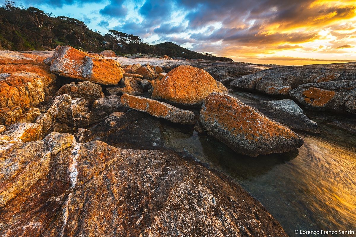 Bicheno shore, near Blow Hole
