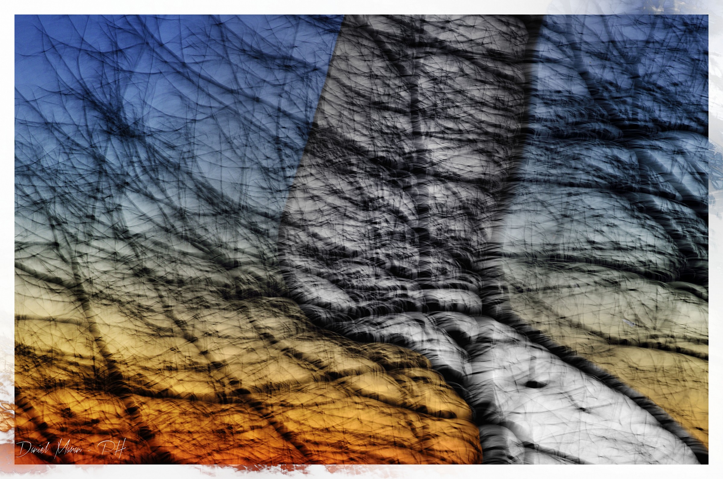 Tra i rami i colori del tramonto