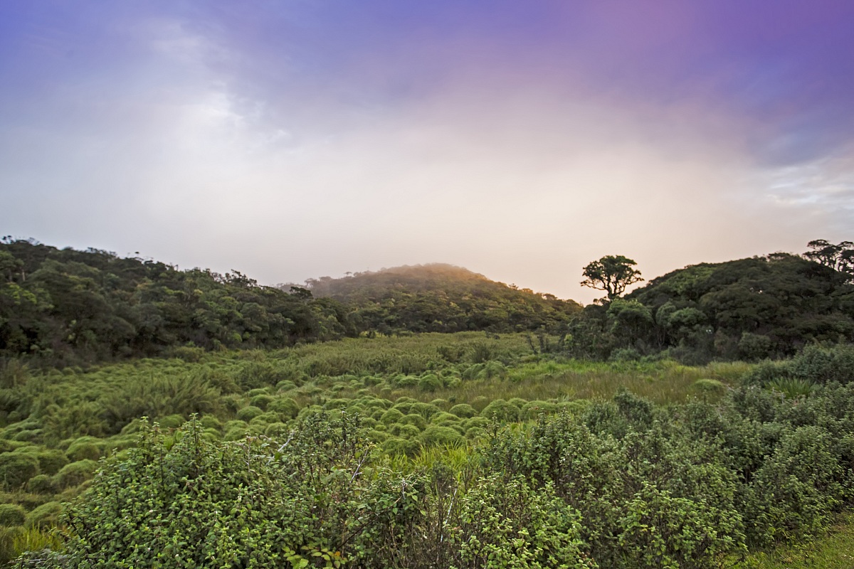 L'alba a Horton Plains