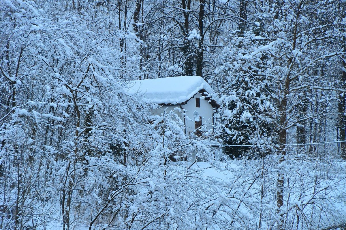 casetta nel bosco