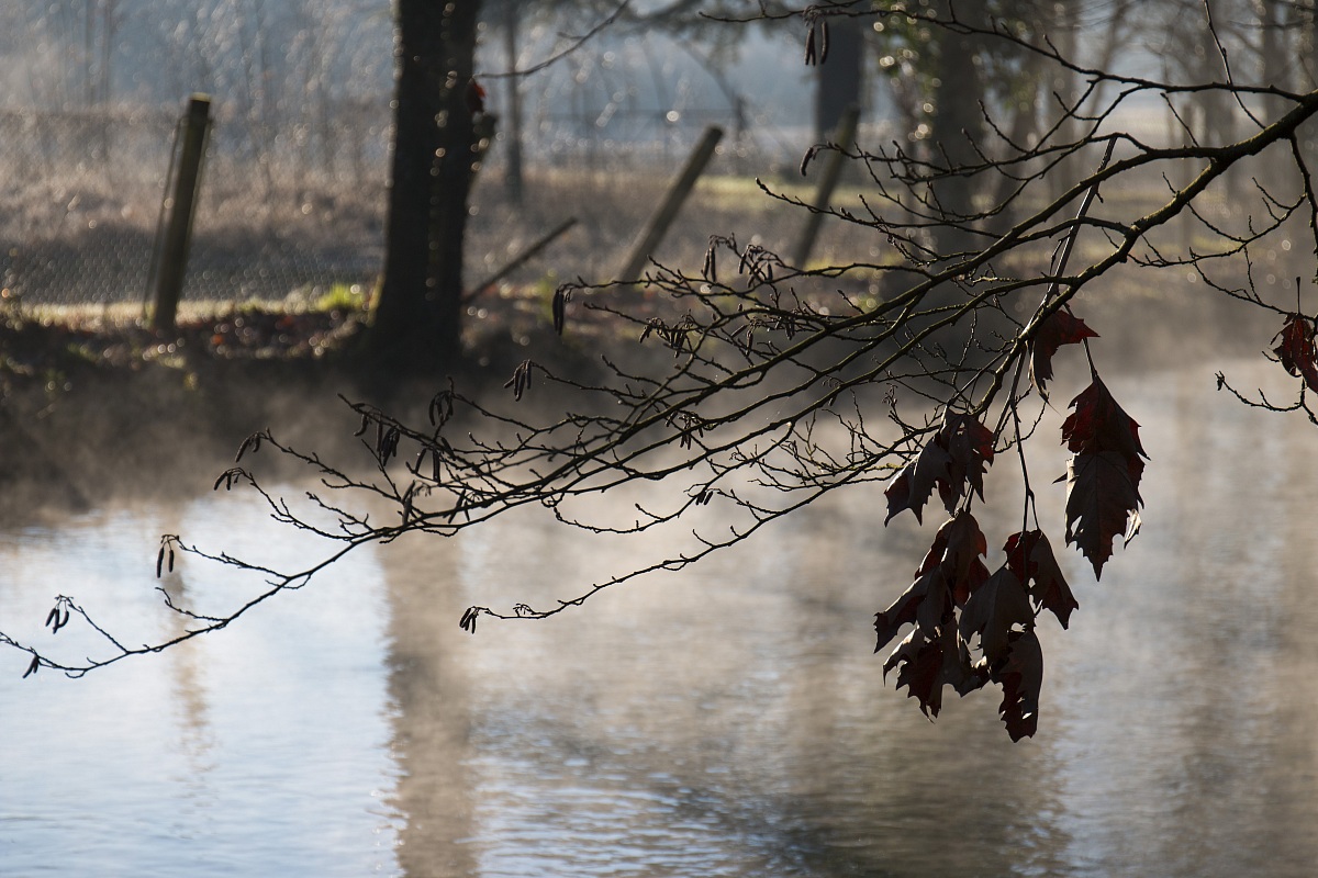 caneva (pn) - lake "trout blue"