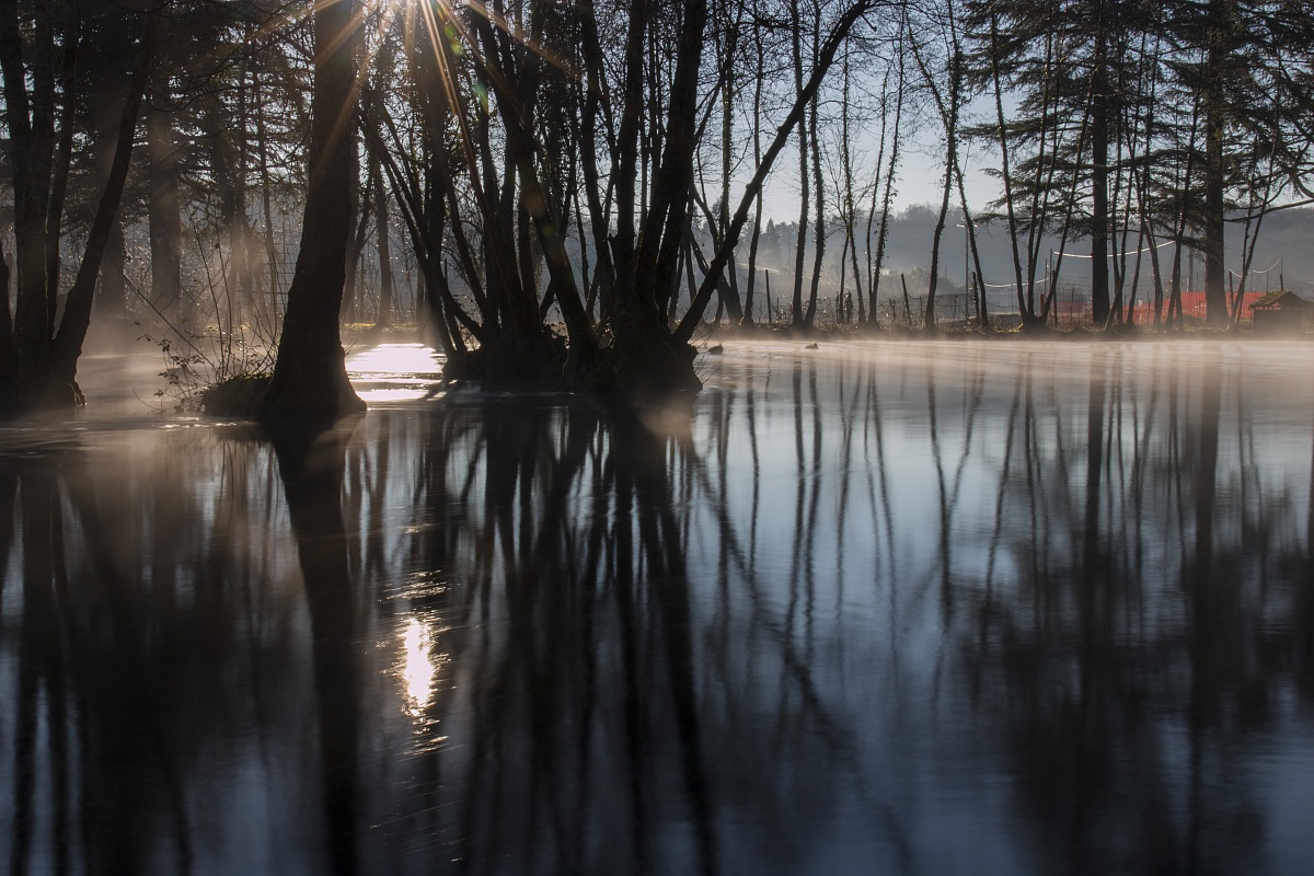 caneva (pn) - laghetto