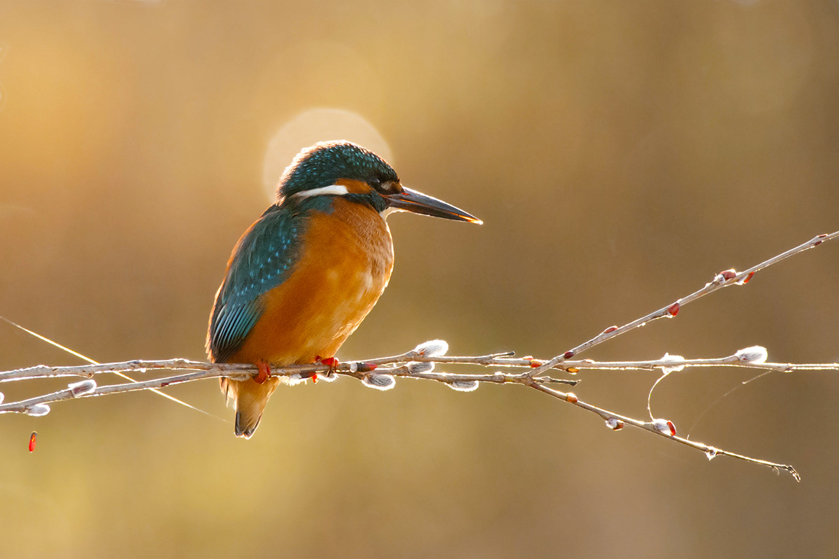 Martina in...controluce