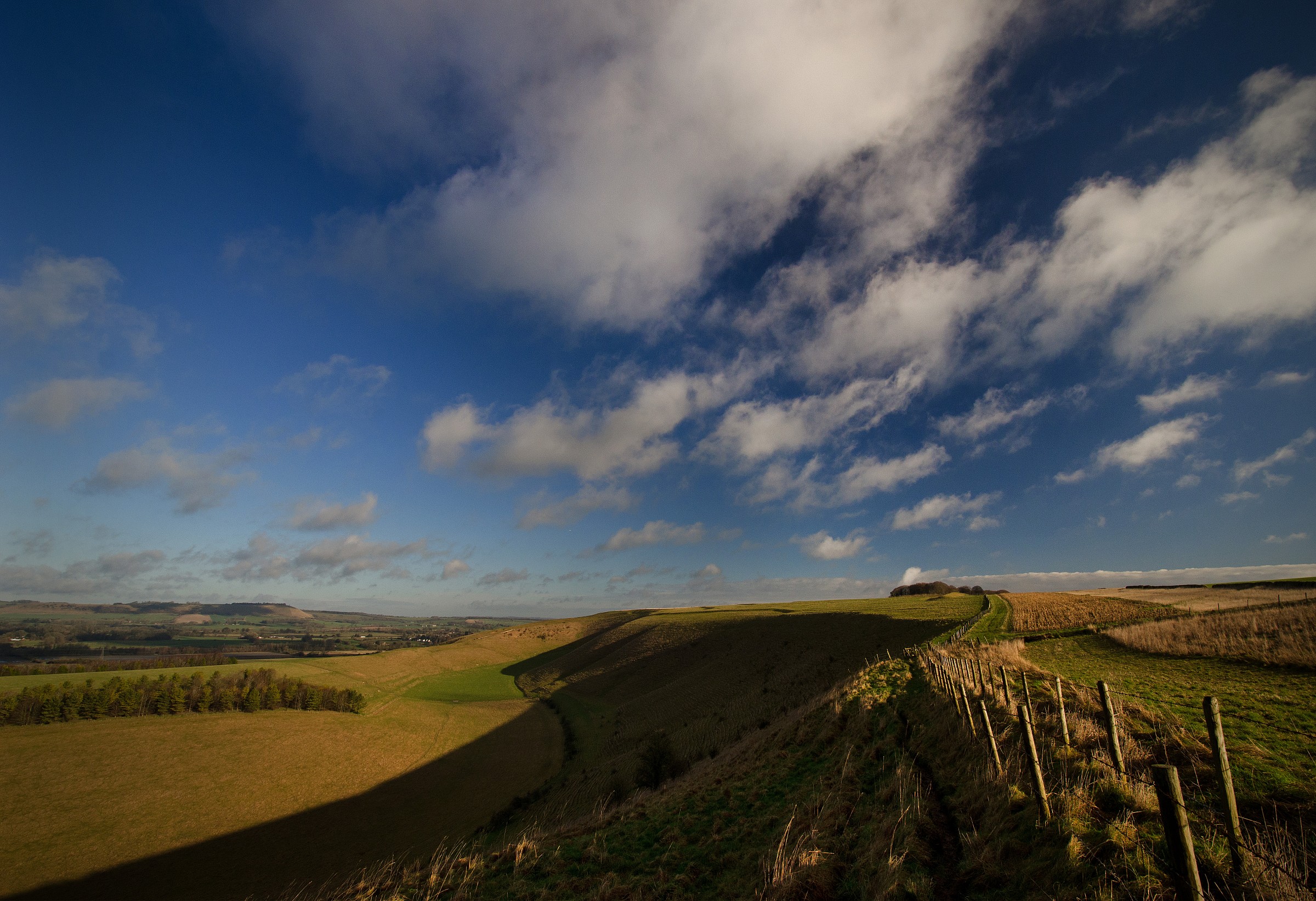 Fyfield Down