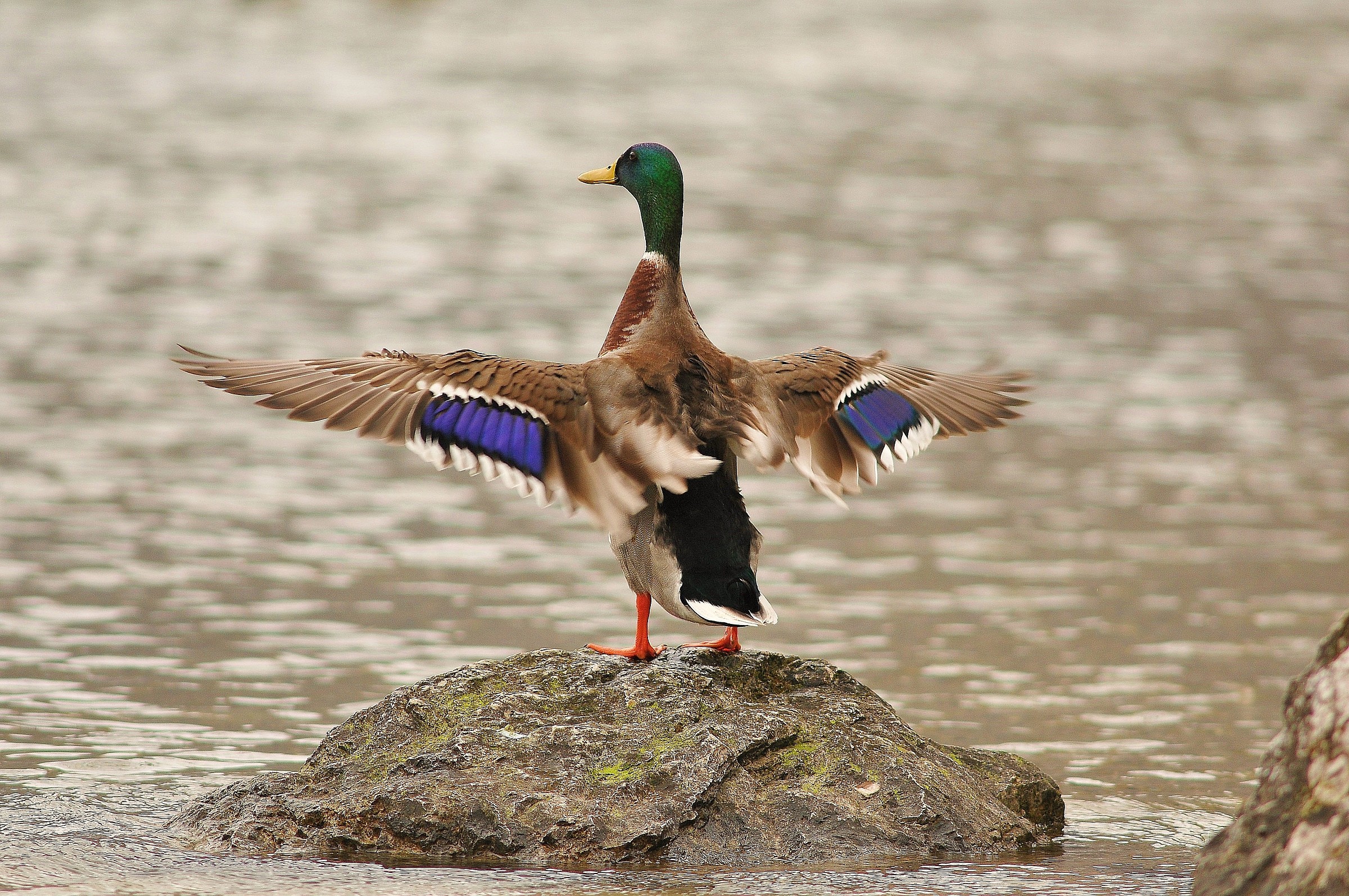 Now I wipe a moment ....