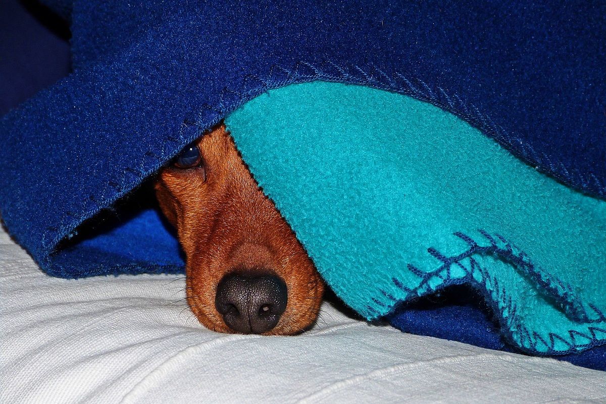 don't disturb....please