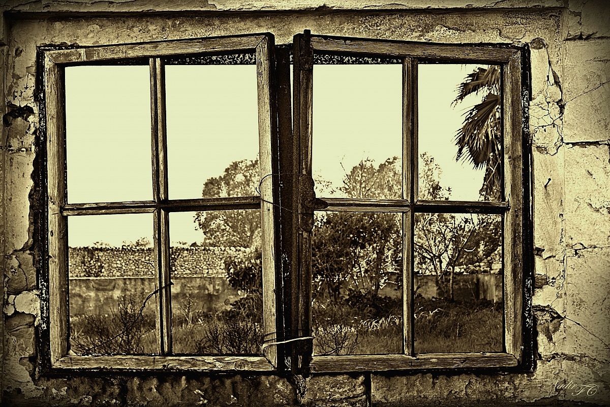 Uno sguardo al passato..