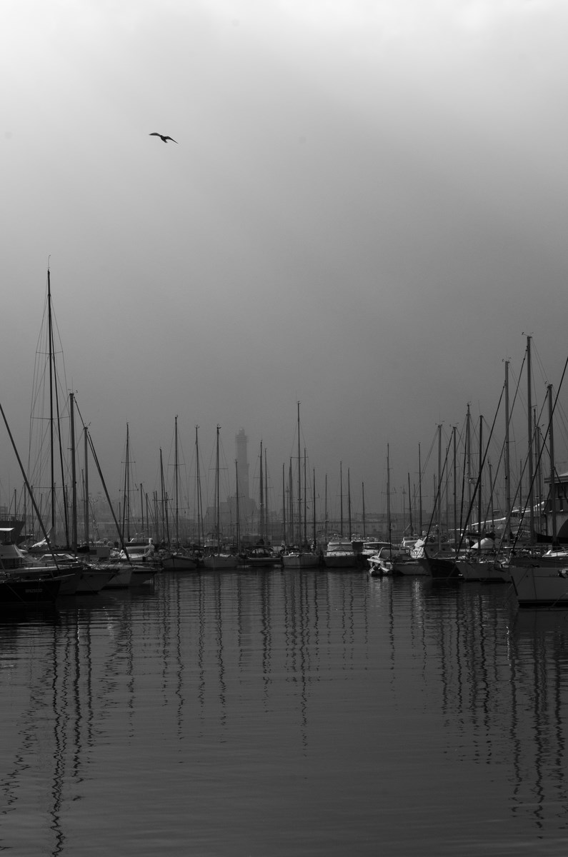 Tenco - Vedrai Vedrai