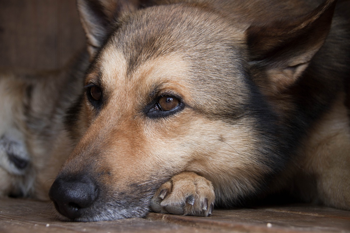 deserved a good rest