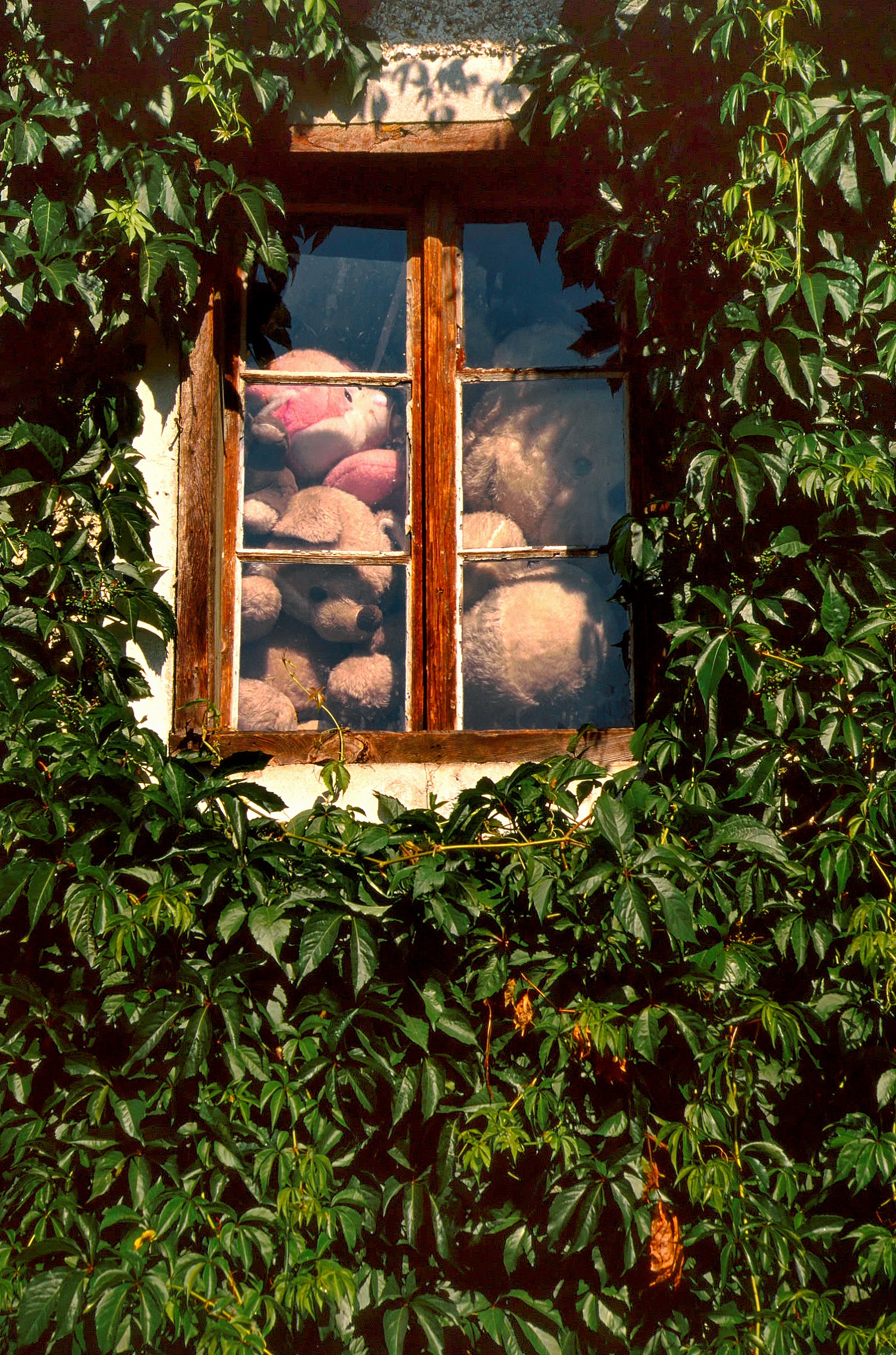 La stanza dei peluches - 1996