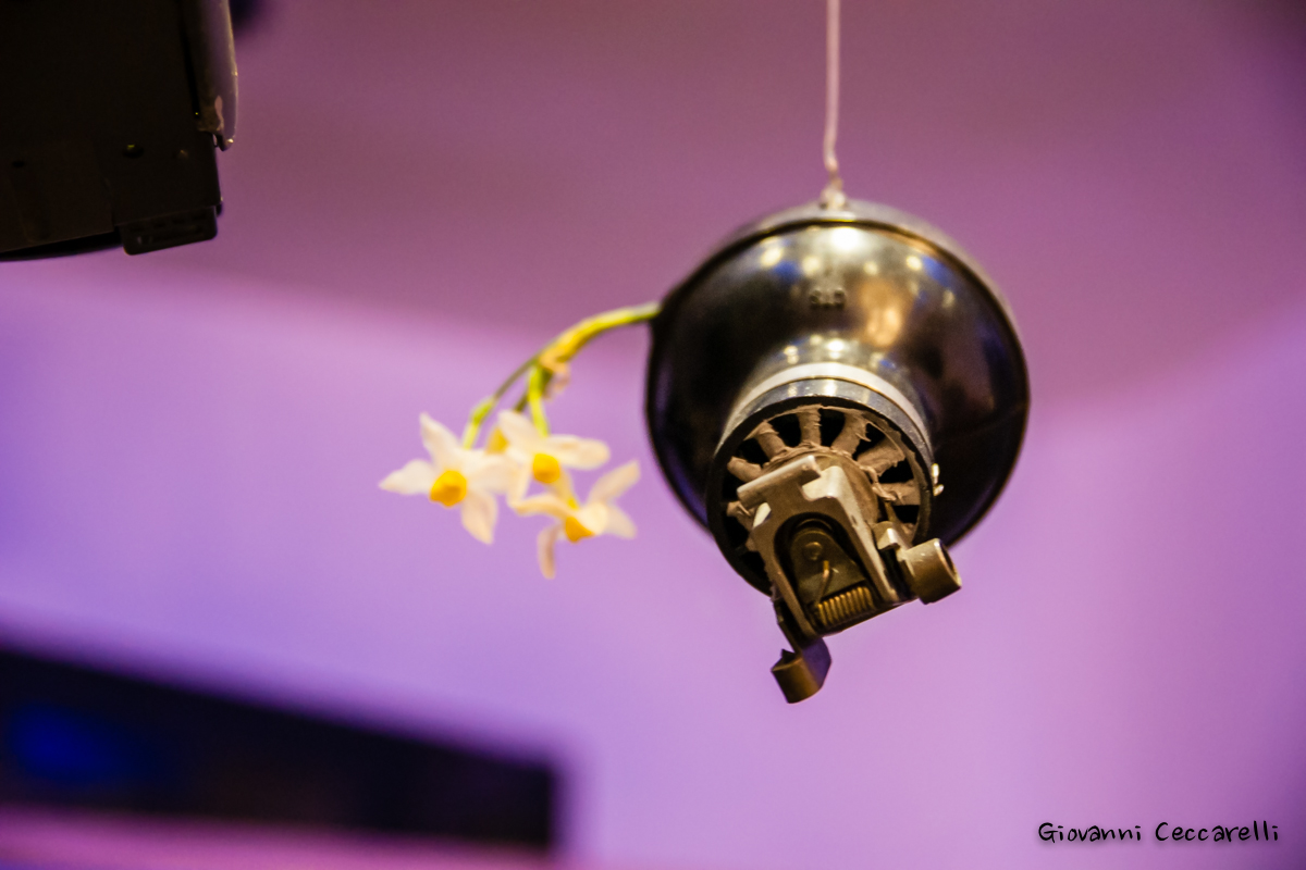 Dai diamanti non nasce niente dalle granate nascon fior