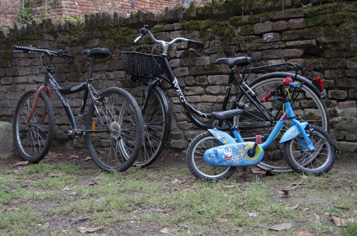 Family bike in Pavia